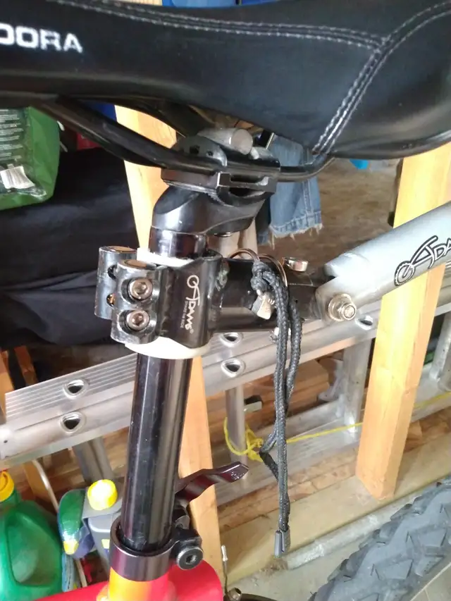 Trail-A-Bike in Kids in Edmonton - Image 5