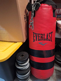 Punching bag