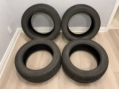 Winter tires for sale..used just for one season..for jetta highline 2024..205/55R17