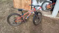 Vélo de montagne CCM Trailhead, fat bike, pour ado / enfant