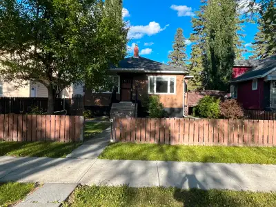 House for rent