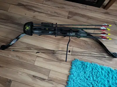 Compound Bow with Arrows, View more