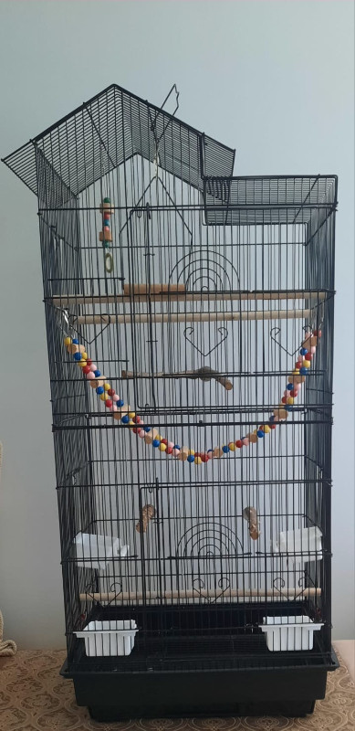 Cage d’oiseaux dans Accessoires  à Ville de Montréal