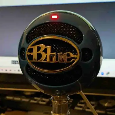 BLUE USB microphone (works!), View more