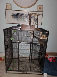 Bird cage or small animal
