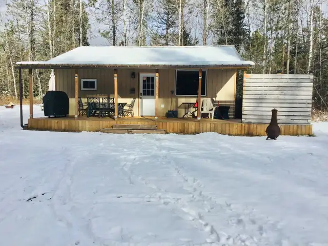 Cozy cabin in the woods in Ontario in Canada - Image 2