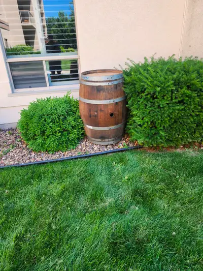 Oak barrel for sale, View more