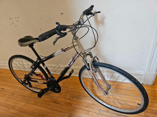 Nakamura Liberty _ 150$ dans Randonnée, ville et hybrides  à Ville de Montréal - Image 3