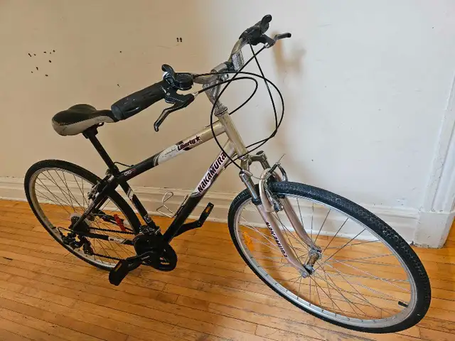 Nakamura Liberty _ 150$ in Cruiser, Commuter & Hybrid in City of Montréal - Image 4