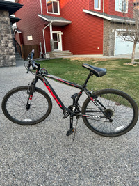 Mountain Bike $100 obo