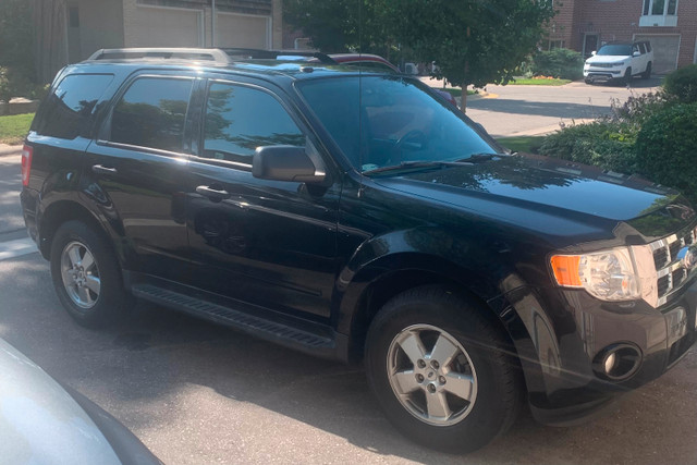Black ‘12 Escape XLT - CERTIFIED in Cars & Trucks in City of Toronto