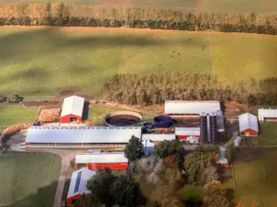 Organic dairy farm employment opportunity, View more