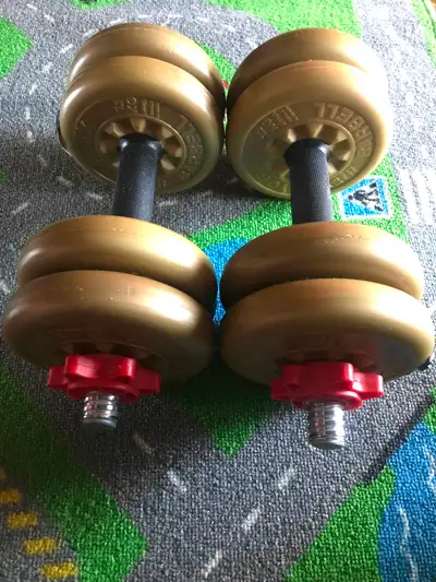York Barbell Adjustable Dumbbells Set 26 lbs, 2.5lbs x 8 Discs, View more