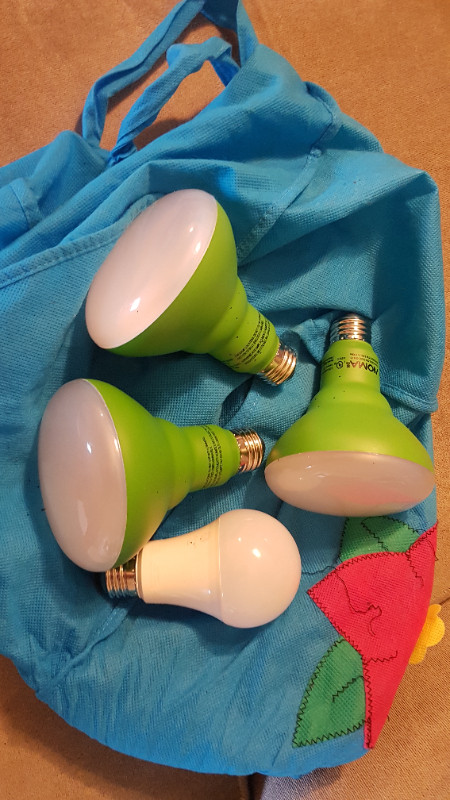 Grow light bulbs for sale. in Other in Regina