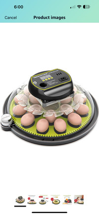 Automatic egg incubator