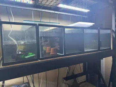 Aquaruim 10 gallons, View more