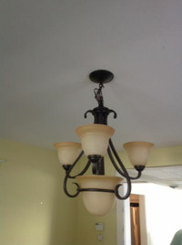 Ceiling style Light Fixture