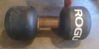 Rogue Monster Dumbbell, View more