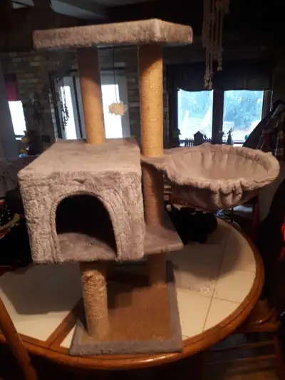 Cat Tree, View more