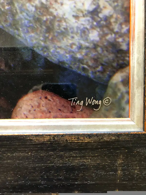 Picture64985460660865121