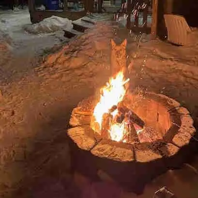 Restful all season cabin year round hot tub pets allowed in Manitoba in Canada - Image 2