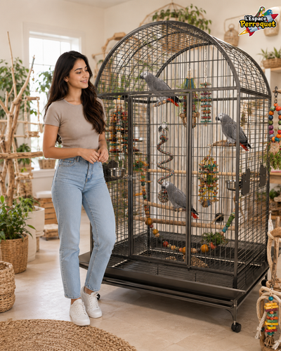★ X-Large Dome Cage for African Grey, Cockatoo & Large Parrots ★, View more