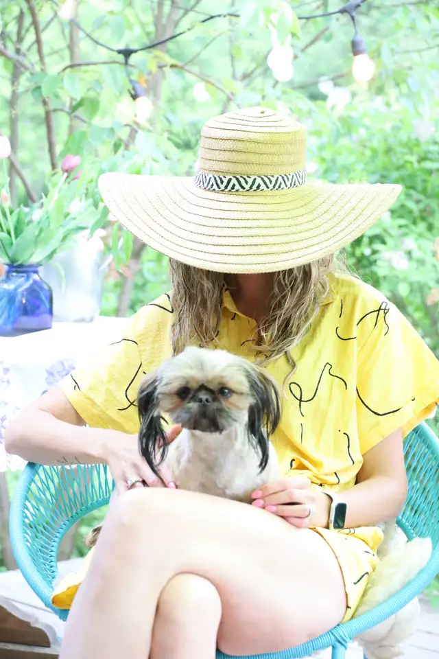 Shih tzu puppies coming HOUSE TRAINED; purebred; CKC reg'd in Dogs & Puppies for Rehoming in City of Toronto - Image 7