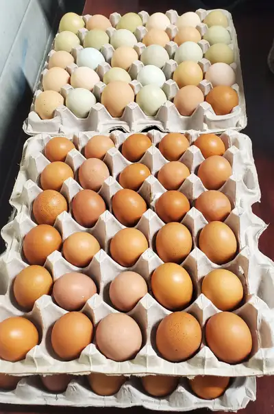 ** FRESH FARM EGGS **, View more