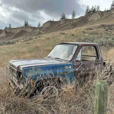 1970s GMC Sierra 15 Grand old Farm truck. Has not run in decades and has been stripped of numerous p...