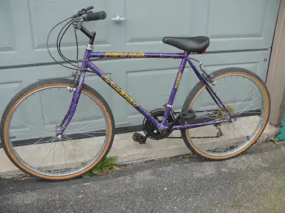 Raleigh Hybrid bike 26 inch, View more
