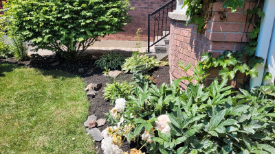 Solid Ground Lawn Care & Property Maintenance