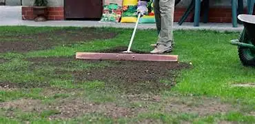 Aeration, Lawn Rolling, Dethatching and Fertilizing. in Lawn, Tree Maintenance & Eavestrough in Kitchener / Waterloo - Image 8