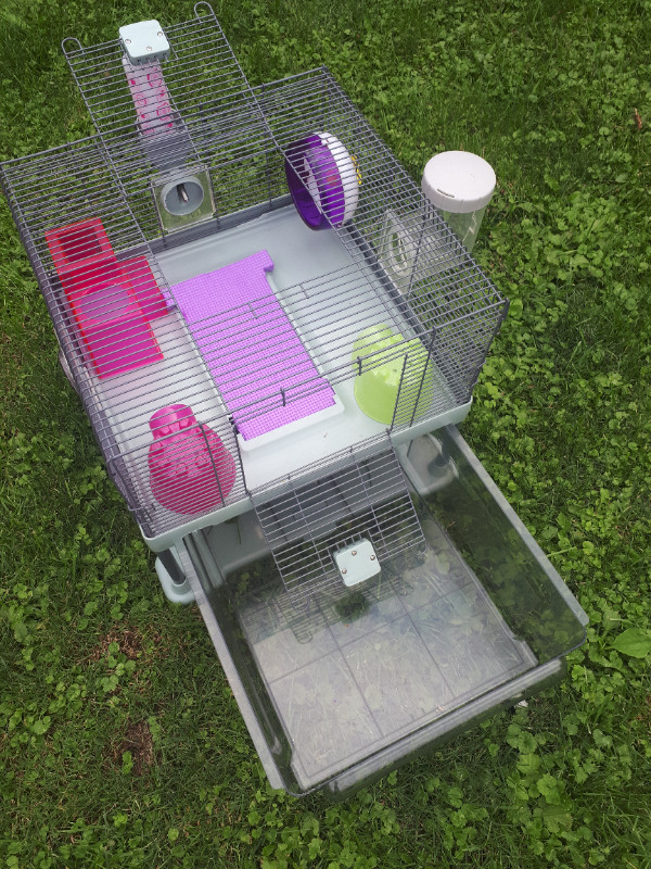 ***hamster cage**** in Small Animals for Rehoming in Windsor Region - Image 4