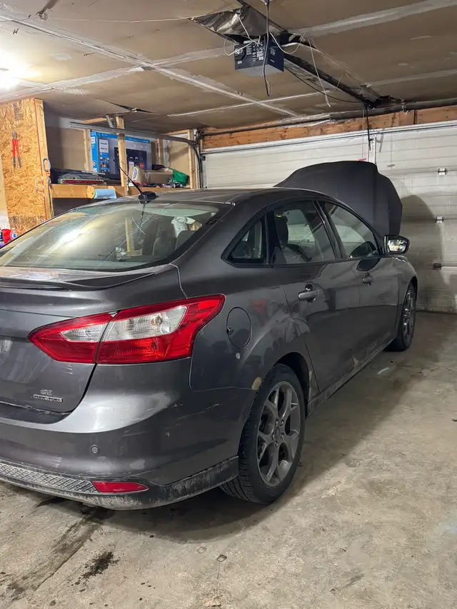 2013 Ford focus 460148016163727361