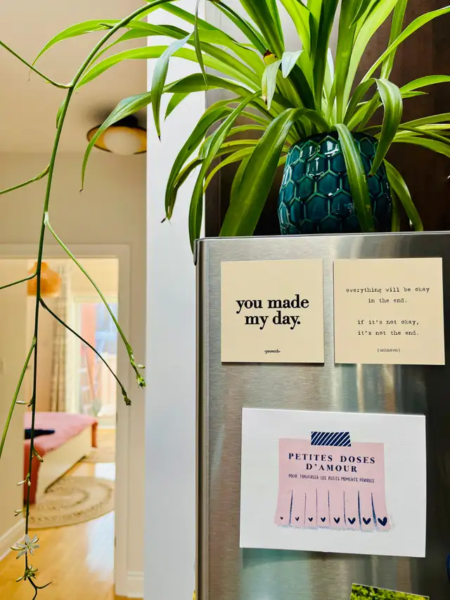 Verdun – Cession de bail 4½ – stationnement privé + électros in Long Term Rentals in City of Montréal - Image 24