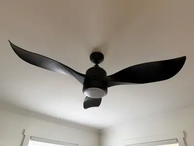 Ceiling Fam, View more