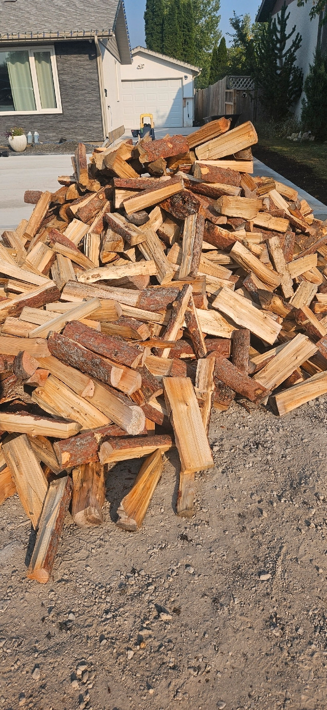 Firewood for sale Tamrack  in Fireplace & Firewood in Winnipeg - Image 3