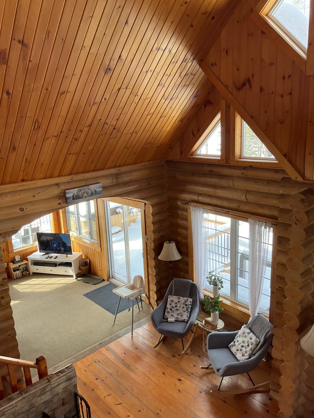 Handy man / General help / Furniture assembly Rénovation