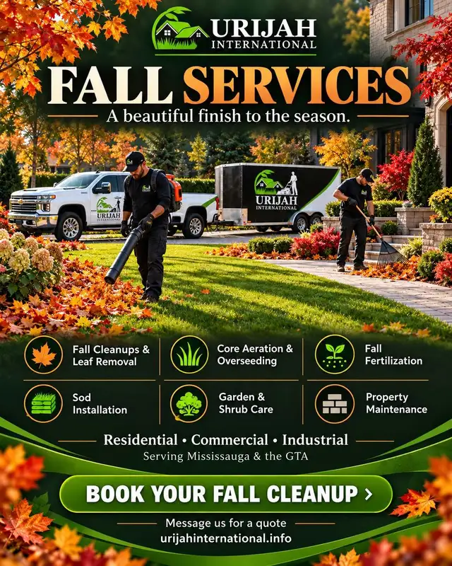 Fall cleanup/ Fall landscaping services