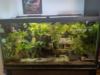 55 Gallon Fully Planted Aquarium Set Up, View more