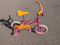 Toddler Girls Tricycle with Training Wheels (Great condition)