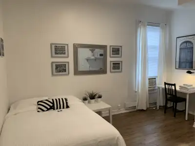 Fully Furnished Studio | The Annex