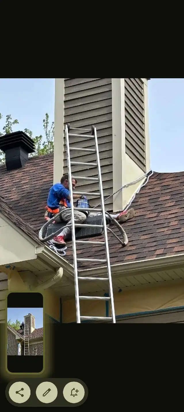 Professional Painter502201370427402246