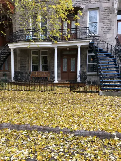À partager Plateau Mt-Royal