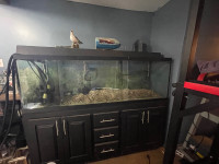 140 gallon fish tank all accessories& stand included 