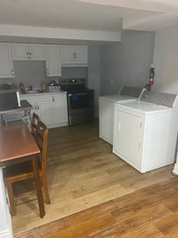 Nice and clean basement room for rent. $700