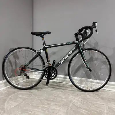Felt ZW 6 Carbon Road Bike w/ Shimano 105 [Size Petite], View more