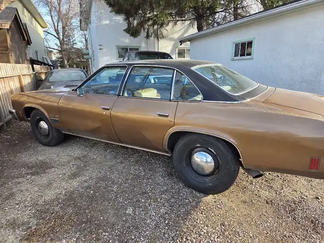 Crazy 8's Auto 64985458190082123