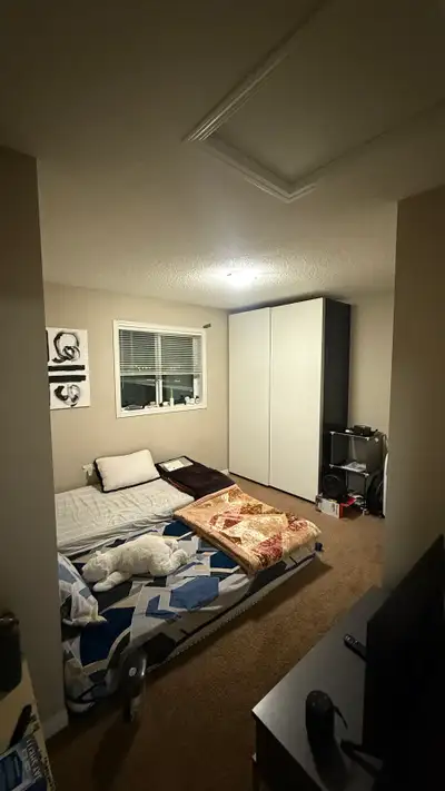 Private room for rent in community of Martindale Modern Home with Brilliant finishing and on Prime L...