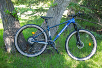 Element 29er Hardtail Shimano Deore 12 speed